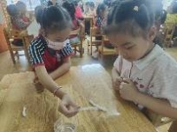 坚果科学实验室-贪吃的毛毛虫